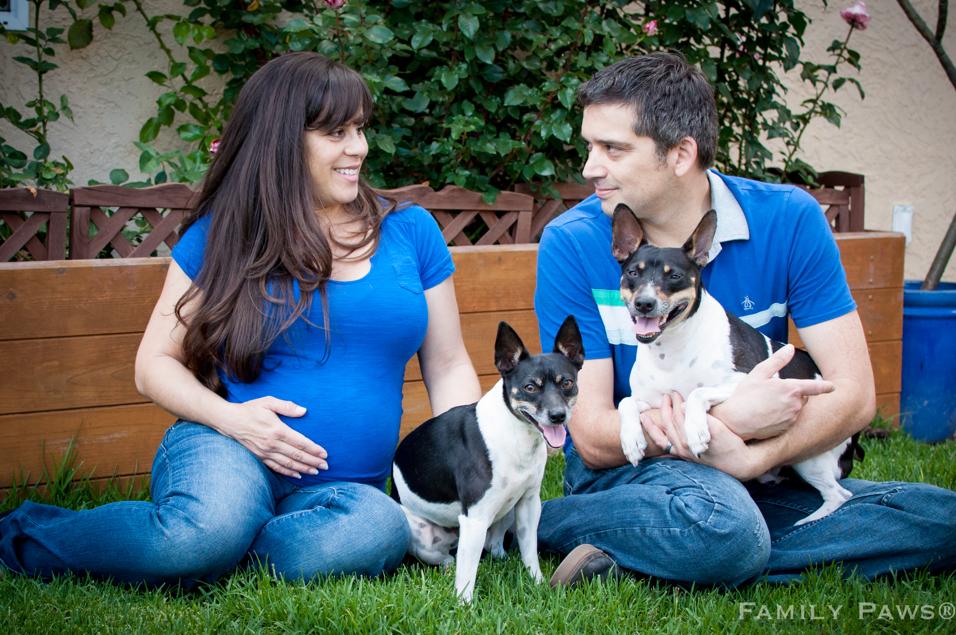 Expecting parents with dogs