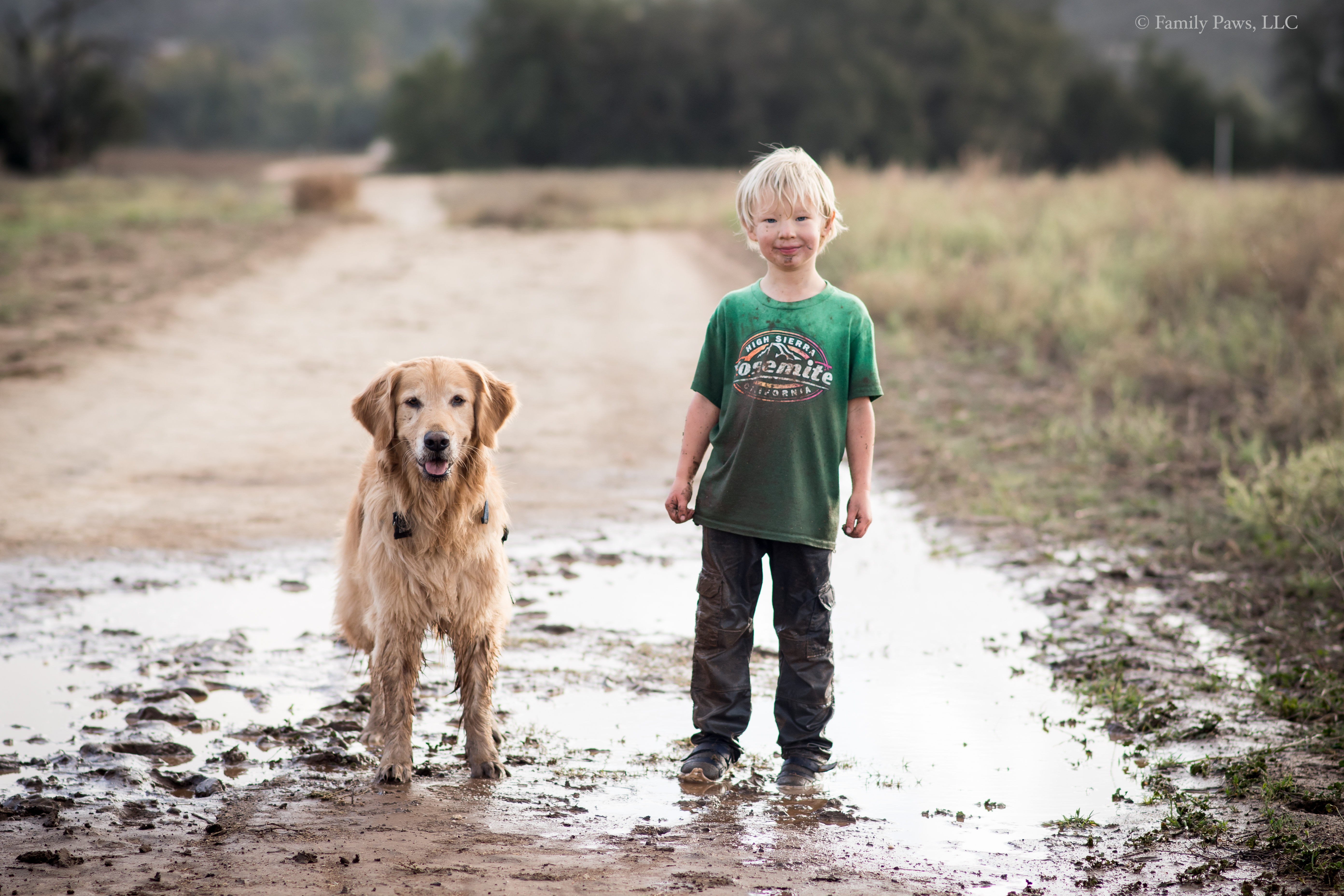 Child and dog together